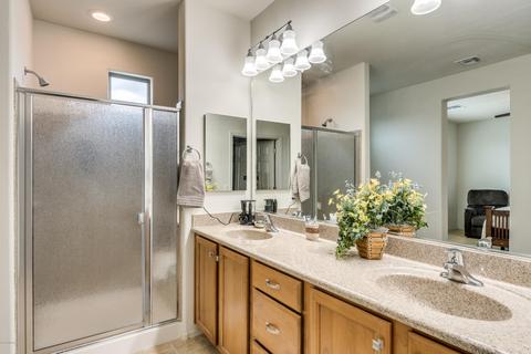 10335 S Buggy Pl, Vail, AZ 85641 photo 26