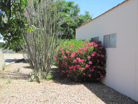 1014 E Mescal Dr, Pearce, AZ 85625 photo 32