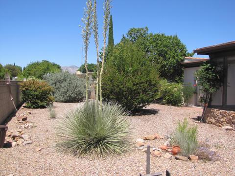1014 E Mescal Dr, Pearce, AZ 85625 photo 31