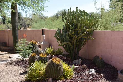 3504 W Sky Ridge Loop, Tucson, AZ 85742 photo 11