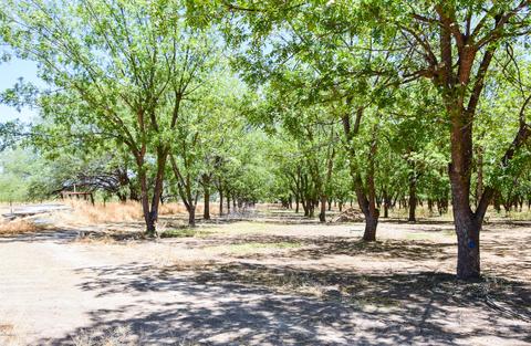 145 N Mcrae Ln, Saint David, AZ 85630 photo 38