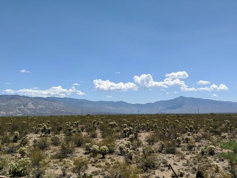 10481 E Rita Ranch Crossing Cir, Tucson, AZ 85747 photo 37