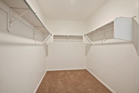 5840 E Tercel Dr, Tucson, AZ 85756 photo 17