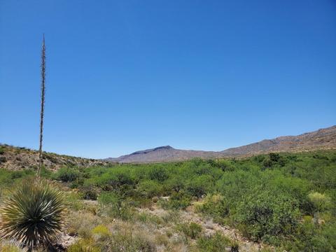 21651 E Marsh Station Rd, Vail, AZ 85641 photo 33
