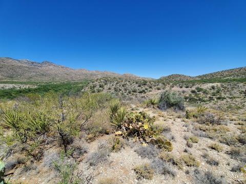 21651 E Marsh Station Rd, Vail, AZ 85641 photo 26