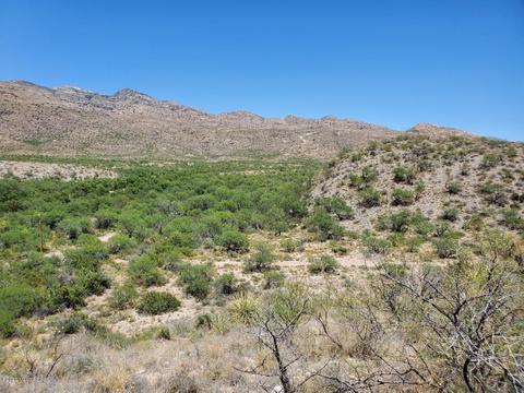 21651 E Marsh Station Rd, Vail, AZ 85641 photo 31