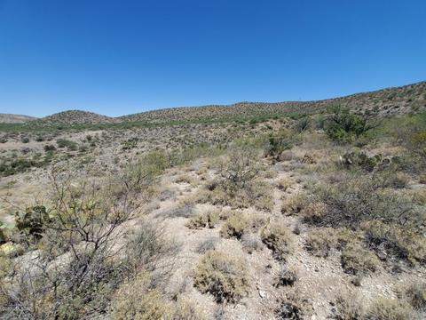 21651 E Marsh Station Rd, Vail, AZ 85641 photo 24