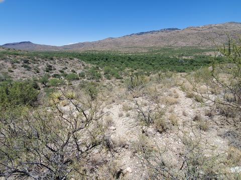21651 E Marsh Station Rd, Vail, AZ 85641 photo 23