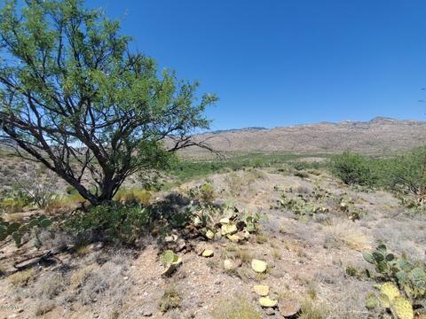 21651 E Marsh Station Rd, Vail, AZ 85641 photo 19