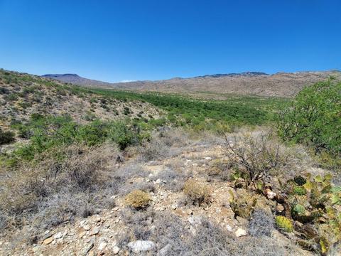 21651 E Marsh Station Rd, Vail, AZ 85641 photo 20