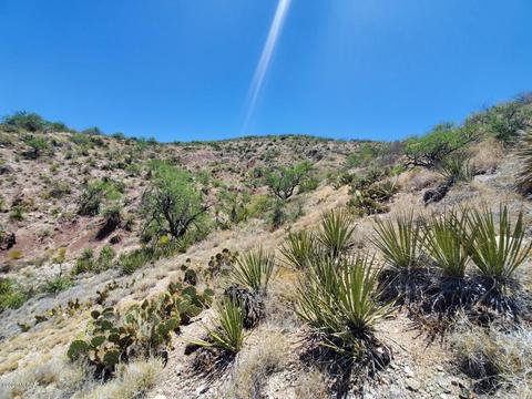 21651 E Marsh Station Rd, Vail, AZ 85641 photo 8