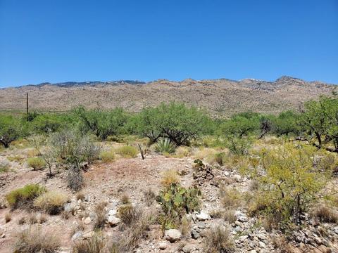 21651 E Marsh Station Rd, Vail, AZ 85641 photo 1