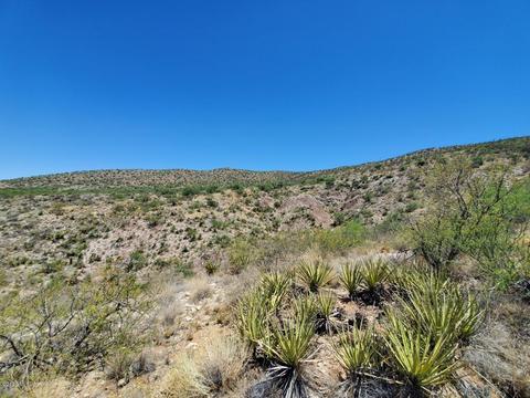 21651 E Marsh Station Rd, Vail, AZ 85641 photo 13