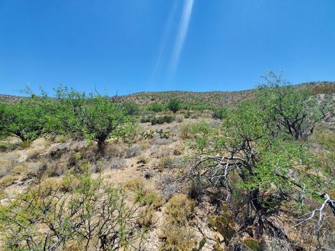 21651 E Marsh Station Rd, Vail, AZ 85641 photo 22