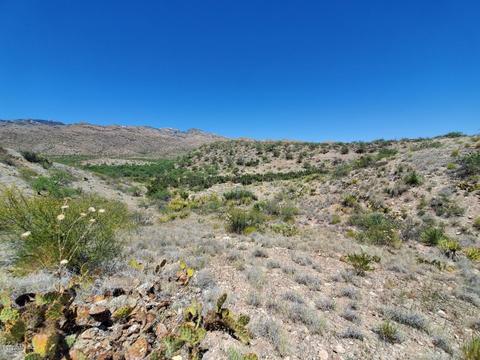 21651 E Marsh Station Rd, Vail, AZ 85641 photo 9