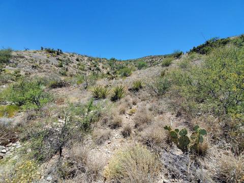 21651 E Marsh Station Rd, Vail, AZ 85641 photo 7