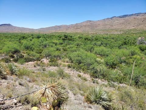 21651 E Marsh Station Rd, Vail, AZ 85641 photo 32