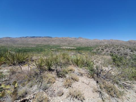 21651 E Marsh Station Rd, Vail, AZ 85641 photo 29