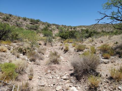 21651 E Marsh Station Rd, Vail, AZ 85641 photo 4