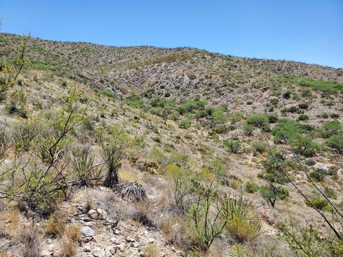 21651 E Marsh Station Rd, Vail, AZ 85641 photo 30