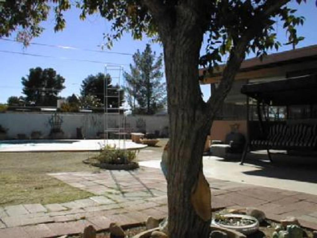6524 E Brooks Dr, Tucson, AZ 85730 photo 4