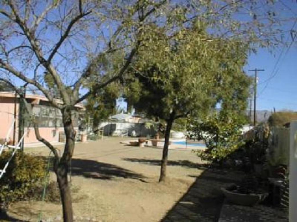 6524 E Brooks Dr, Tucson, AZ 85730 photo 3