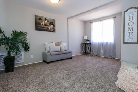 13810 E Candace Ln, Vail, AZ 85641 photo 18