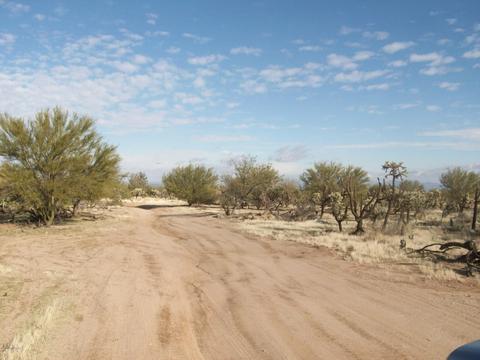 14868 W Lost Valley Loop, Tucson, AZ 85736 photo 5