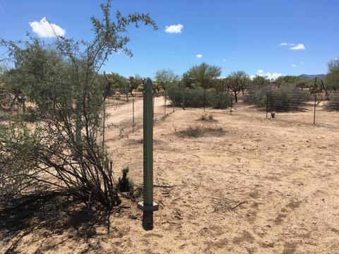 14868 W Lost Valley Loop, Tucson, AZ 85736 photo 2