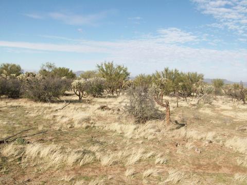 14868 W Lost Valley Loop, Tucson, AZ 85736 photo 1