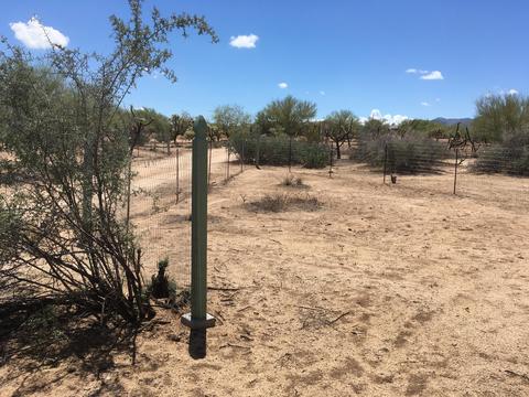 14868 W Lost Valley Loop, Tucson, AZ 85736 photo 7