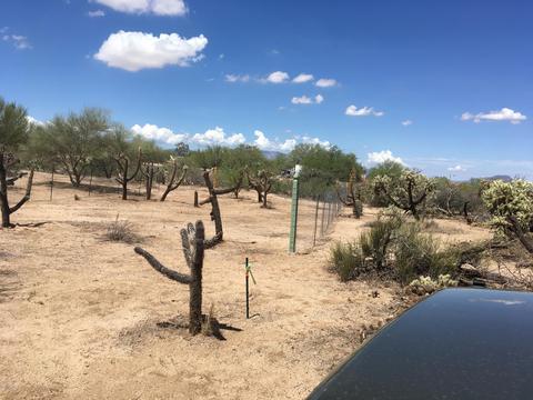 14868 W Lost Valley Loop, Tucson, AZ 85736 photo 3
