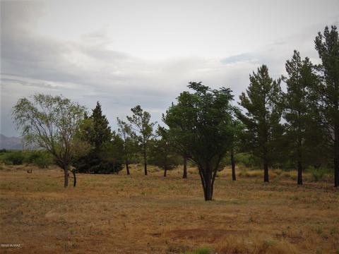 13797 S Chato Rd, Pearce, AZ 85625 photo 22