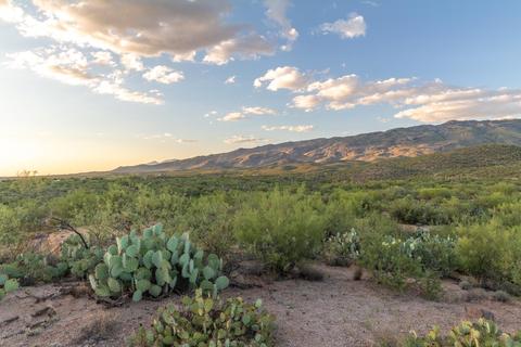14917 E Diamond Q Ranch Pl, Vail, AZ 85641 photo 16