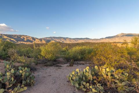 14917 E Diamond Q Ranch Pl, Vail, AZ 85641 photo 9