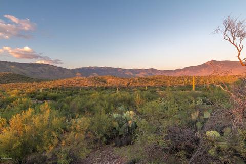 14917 E Diamond Q Ranch Pl, Vail, AZ 85641 photo 23