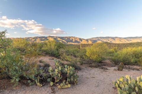 14917 E Diamond Q Ranch Pl, Vail, AZ 85641 photo 10