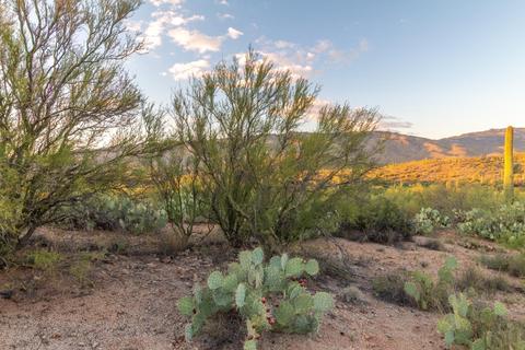14917 E Diamond Q Ranch Pl, Vail, AZ 85641 photo 21