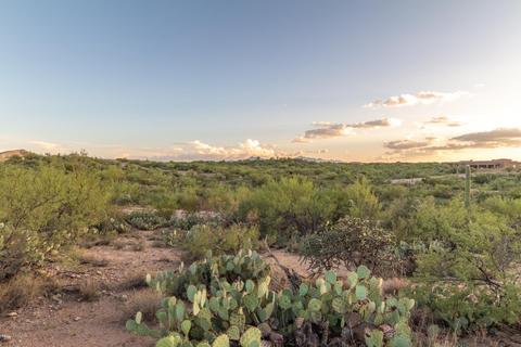 14917 E Diamond Q Ranch Pl, Vail, AZ 85641 photo 13