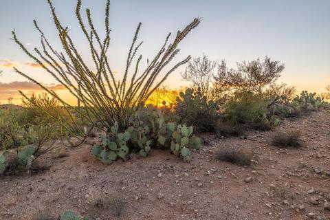 14917 E Diamond Q Ranch Pl, Vail, AZ 85641 photo 22