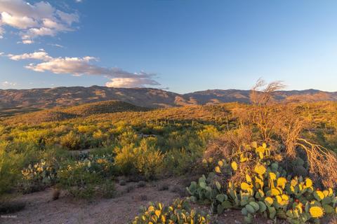 14917 E Diamond Q Ranch Pl, Vail, AZ 85641 photo 19