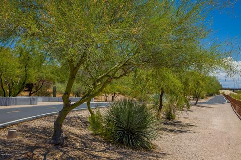 7657 E Palace Park Loop, Tucson, AZ 85710 photo 37