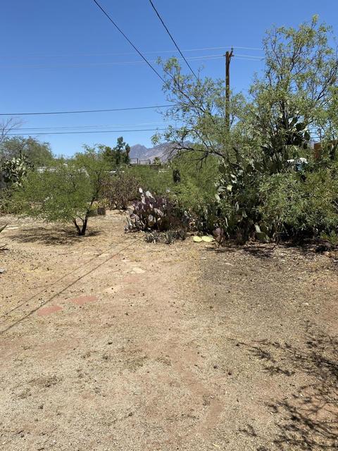 4845 E 4th St, Tucson, AZ 85711 photo 14