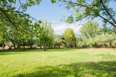 220 E Golden Bell Rd, Saint David, AZ 85630 photo 43