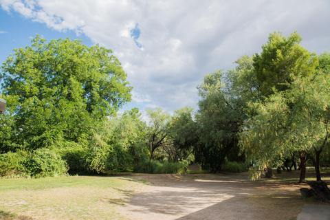 220 E Golden Bell Rd, Saint David, AZ 85630 photo 4