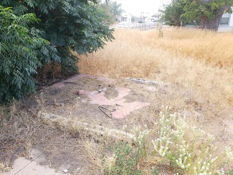 243 E Maley 120 N 1st Ave, Willcox, AZ 85643 photo 31