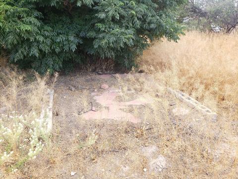 243 E Maley 120 N 1st Ave, Willcox, AZ 85643 photo 30