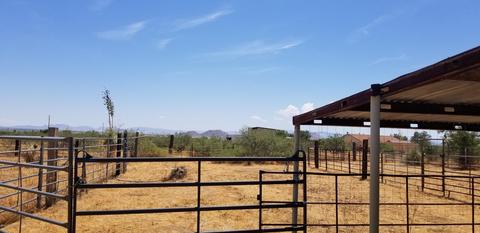 267 E Apache Way, Cochise, AZ 85606 photo 27