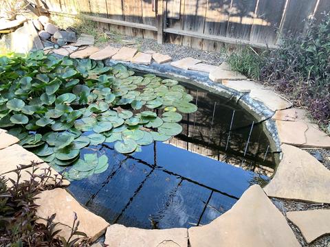 442 E Knox Dr, Tucson, AZ 85705 photo 35
