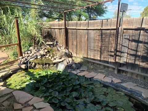 442 E Knox Dr, Tucson, AZ 85705 photo 34